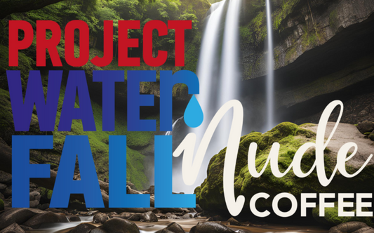 Project Waterfall